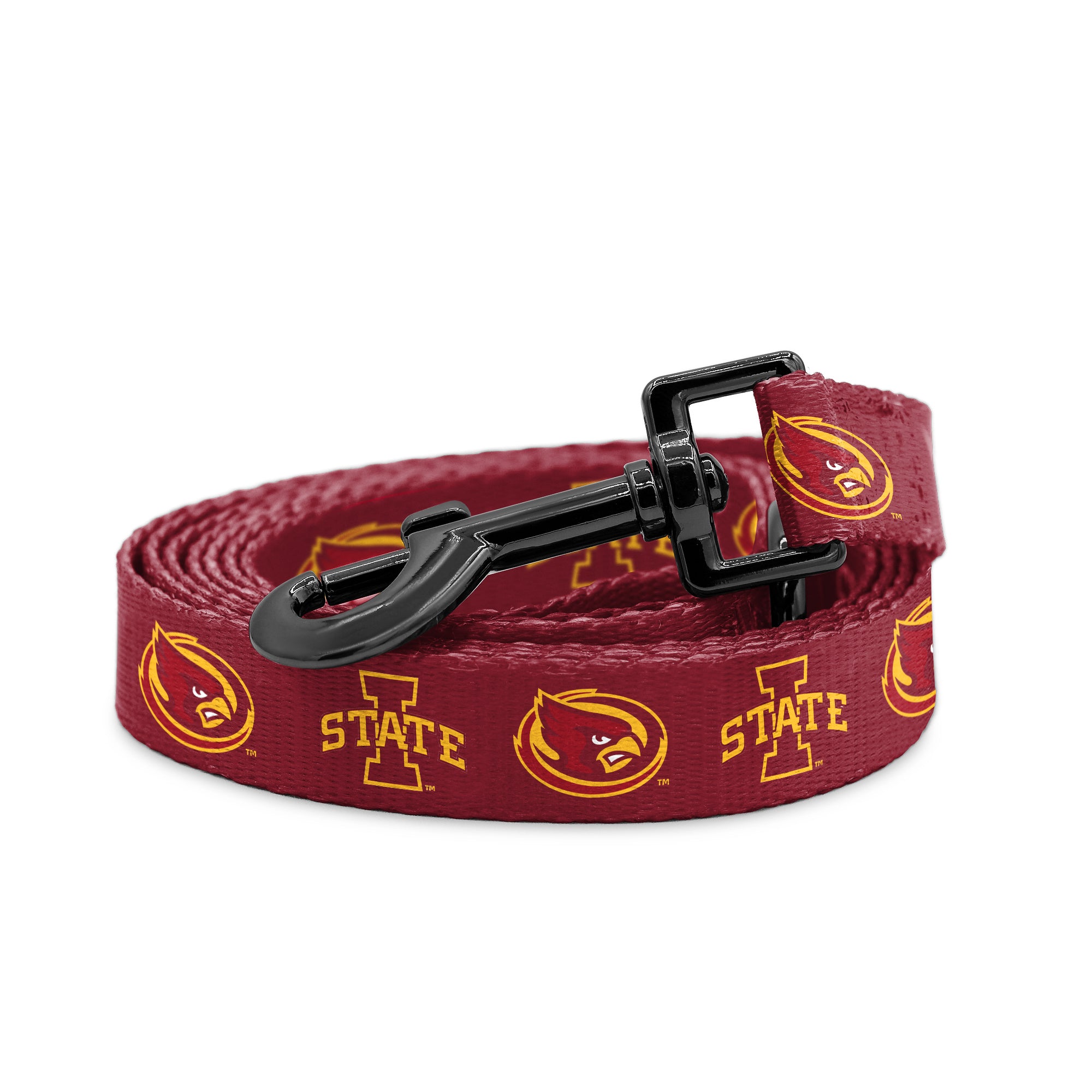 Iowa State Pet Leash 6'
