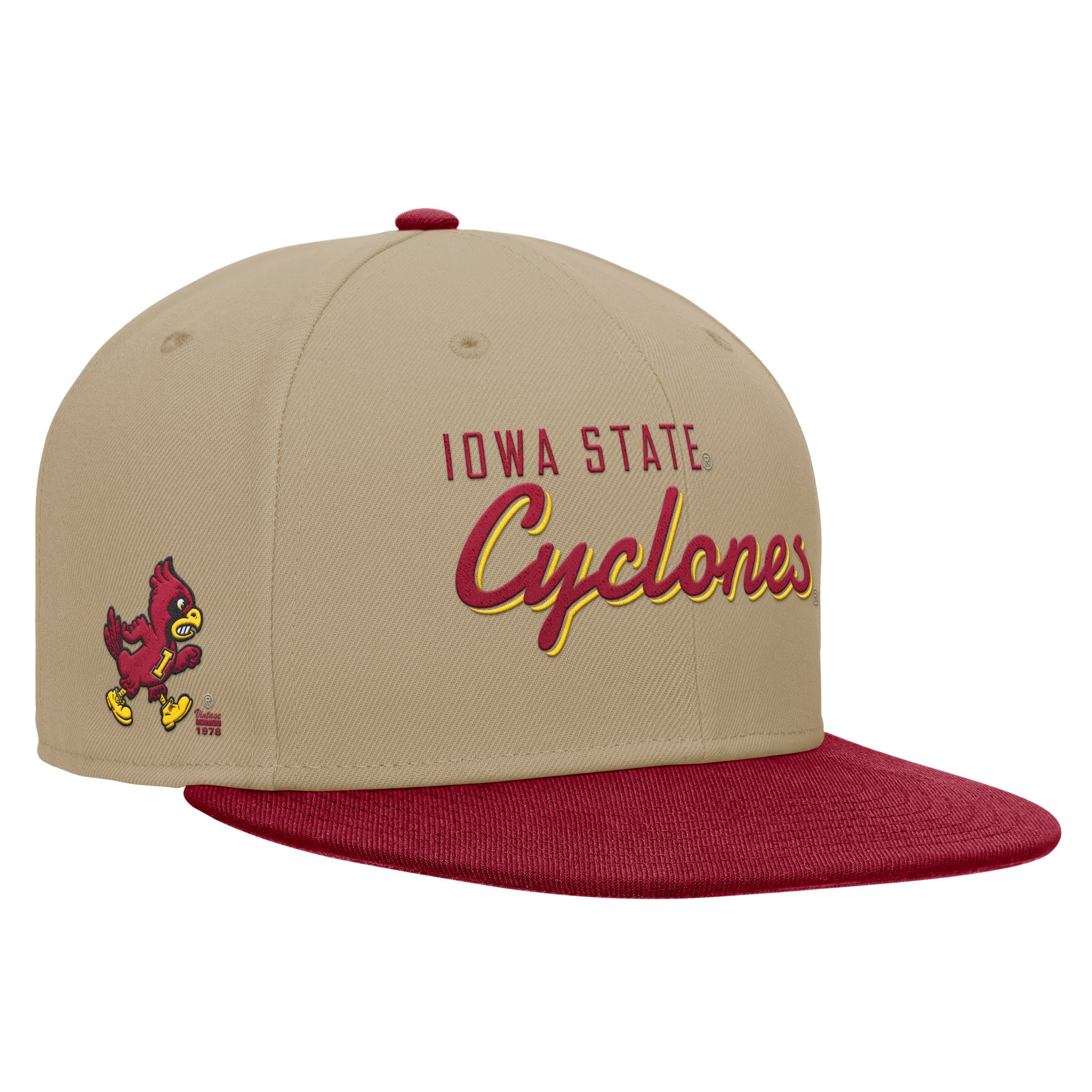 Iowa State Nike Pro Flatbill Snapback