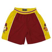 Iowa State Cyclones Slam Media Basketball Shorts