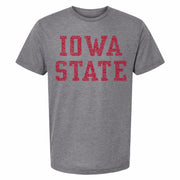 Iowa State Distressed Short Sleeve Tee